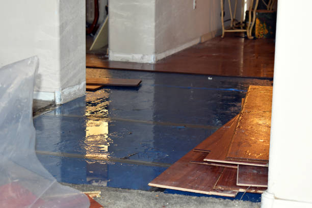 Professional Water Damage Restoration technician working in Friendship, WI